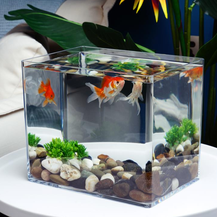 FC25-50 transparent fish tank for household