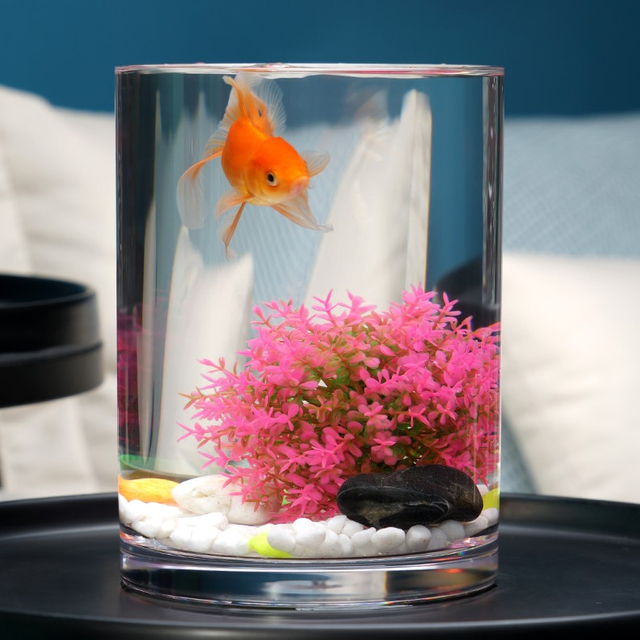 VR100-250 plastic transparent fish tank