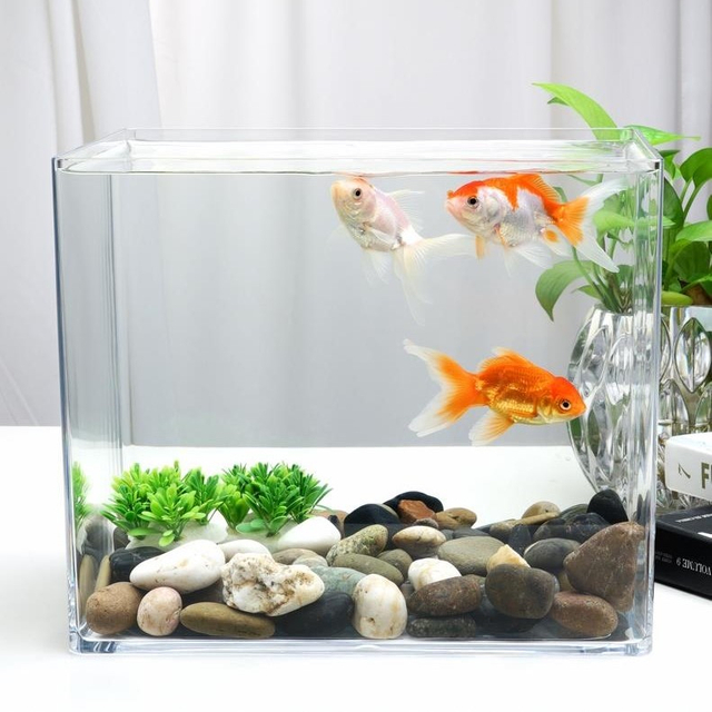 FC25-50 transparent fish tank for household